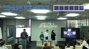 Поле чудес для детей 2023