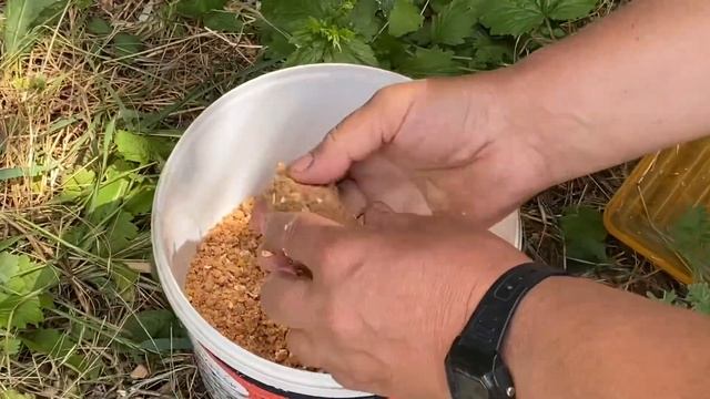Дождались!САЗАН на удочку,скользящий поплавок!Мишка Журавлев на рыбалке! смотреть онлайн