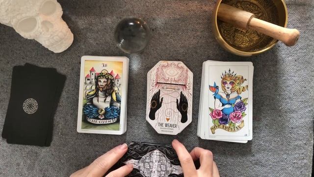Video on demand for Kady Tee | Finding a match to Citadel Oracle | Español & English смотреть онлайн