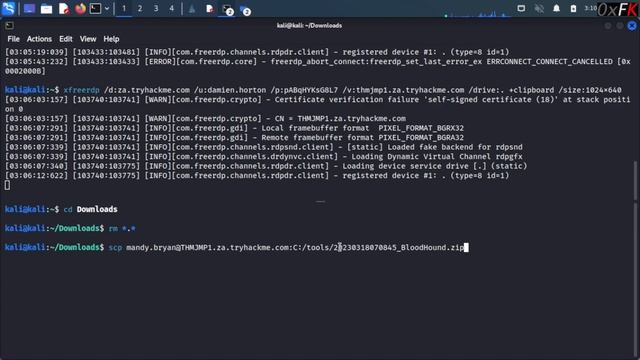 TryHackMe Enumerating Active Directory Tasks 5 & 6 смотреть онлайн