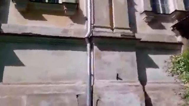 Церковь под Петрозаводском, Без лишних слов.. смотреть онлайн