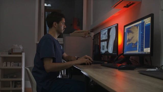 Als der Arzt sah was im Bauch des Hundes war wurde ihm schlecht! ??