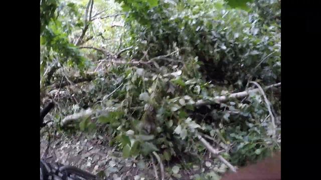 Квест, в поисках утраченного телефона смотреть онлайн