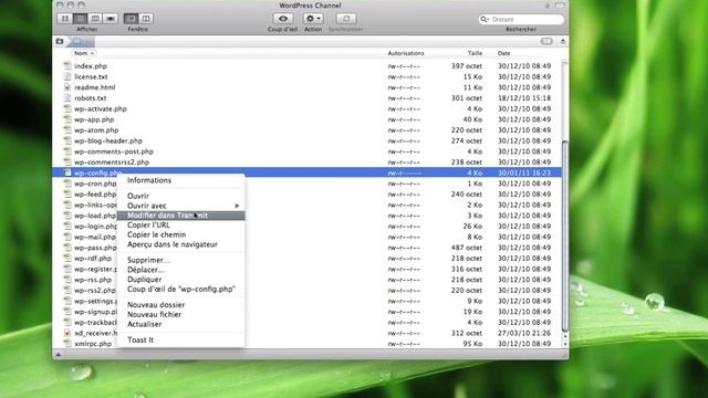 #3 -- Optimiser WordPress | Augmenter la taille mémoire de WordPress смотреть онлайн