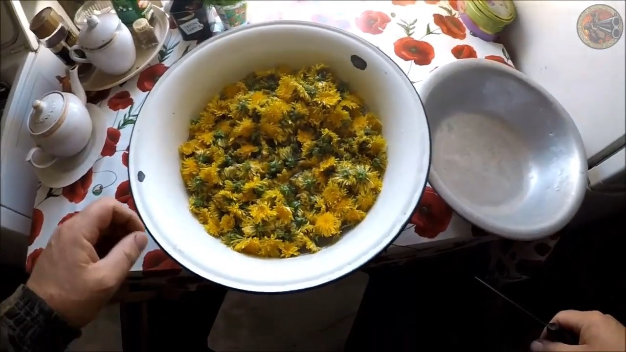 Варенье из одуванчиков (Будни охотника и рыбака).mp4 смотреть онлайн