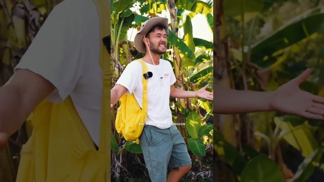 Почему банановый вкус не похож на банан? смотреть онлайн