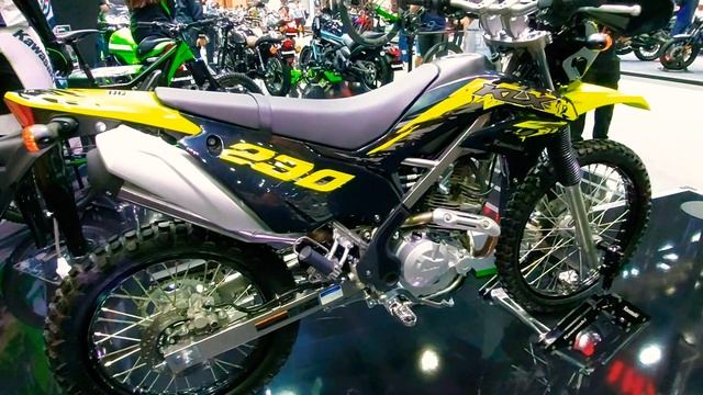 New Kawasaki KLX 230 ABS SE 2021 | EST Price PHP 212K [Walk-around] смотреть онлайн
