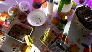 ГОДЕЦИЯ .ПОСЕВ СЕМЯН ГОДЕЦИИ НА РАССАДУ.