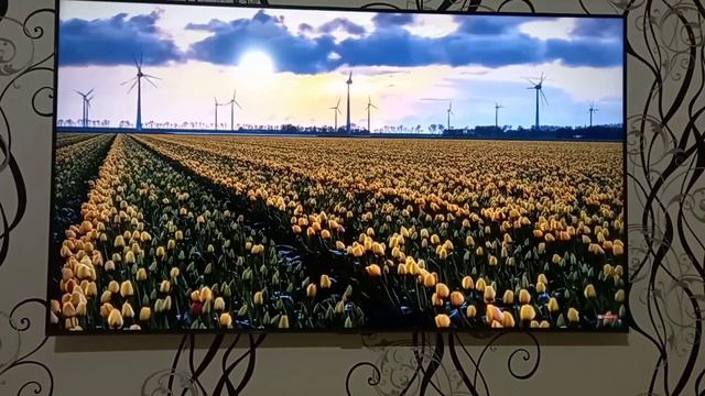 Обзор телевизора Samsung AU 7160 55 TV смотреть онлайн