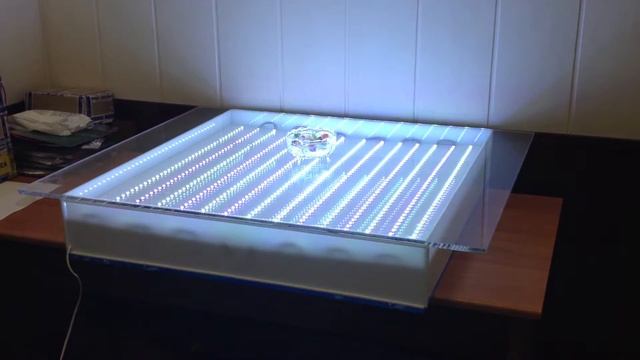 Светодиодный стол с подсветкой. Уникальные вещи смотреть онлайн
