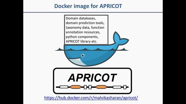 APRICOT software: Part-7 - Docker image | Explanation and analysis смотреть онлайн