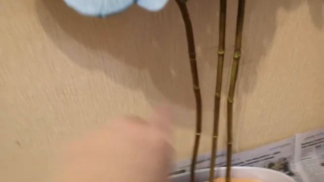 Видеоурок. Искусственная орхидея в кашпо с листьями смотреть онлайн