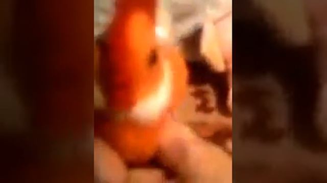 Семьи Букиных и Полено смотреть онлайн