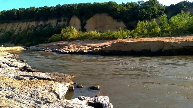 Нитчатые водоросли для пруда ? смотреть онлайн