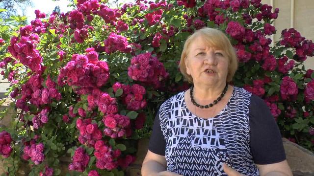 Отзыв Надежды Егоровой на выездной тренинг Елены Ачкасовой смотреть онлайн