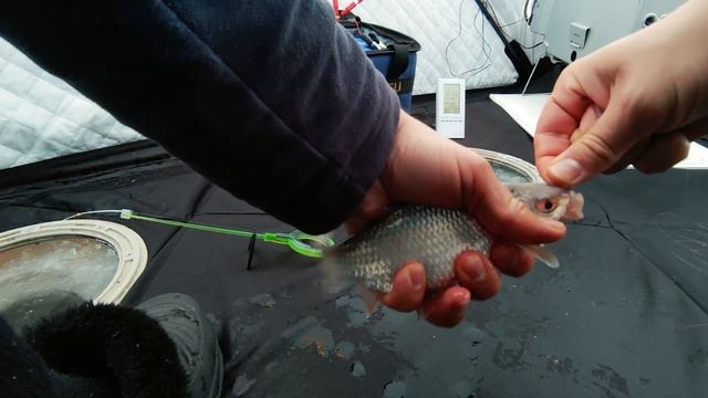 Рыбалка на Карповском ВДХР. Плотва. смотреть онлайн