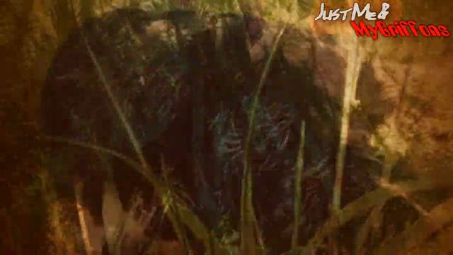 Мишка-гриффошка смотреть онлайн