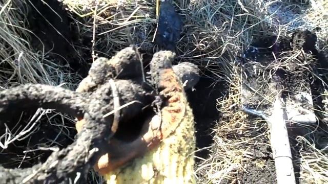 Проверяю новые места с металлоискателем. Коп металлолома смотреть онлайн