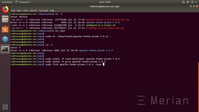 Tomcat/TomEE 7 Installation on Ubuntu 18.04 and NetBeans 8.2 смотреть онлайн