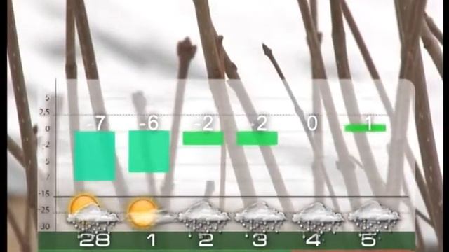Наши новости 27 февраля 2017 смотреть онлайн