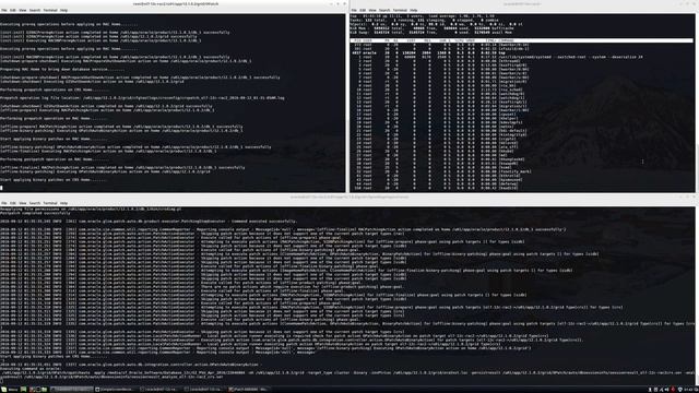 Howto: Apply Oracle 12c GI DB PSU April 2016 RAC смотреть онлайн