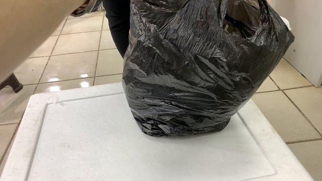 Растения 