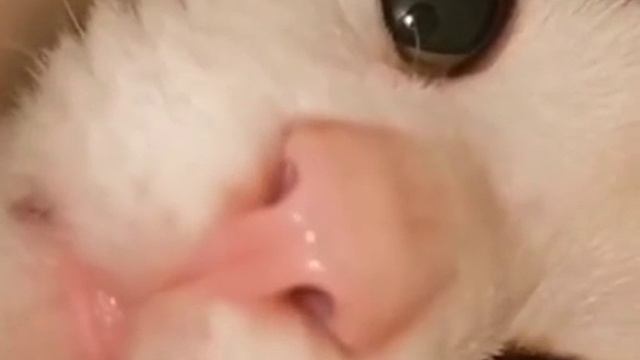 Что это вы там прячете?.mp4 смотреть онлайн