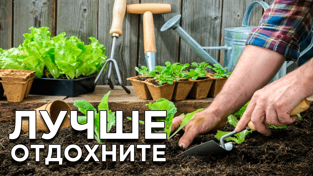 5 дел в саду и огороде, которые вы делаете зря
