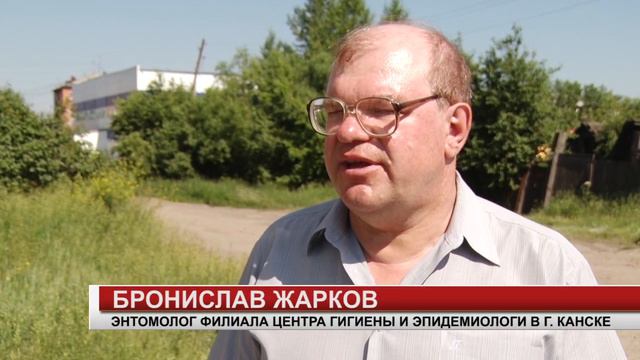 НАШЕСТВИЕ КОМАРОВ смотреть онлайн