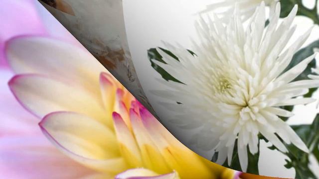 В. Пономарева. Любовь волшебная....авт. И. Журавлева смотреть онлайн