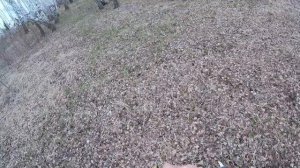 Как поймать дрозда || Часть 1