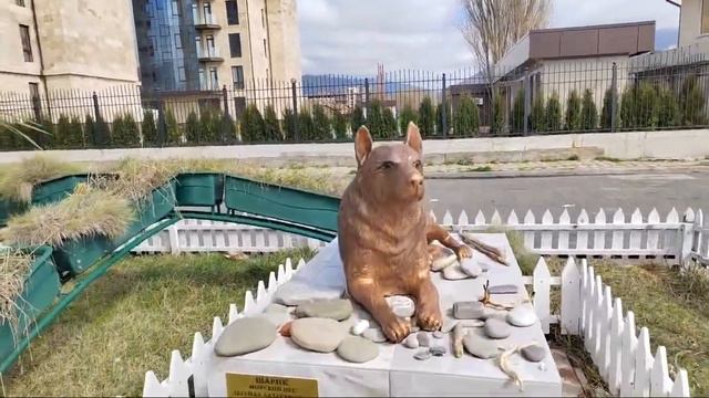 Лазаревское. Устье Псезуапсе смотреть онлайн