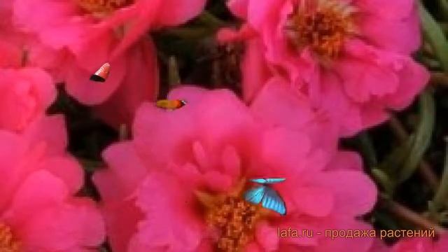 Как Сделать с Креативностью