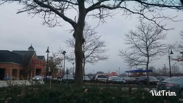 Азербайджанская диаспора живёт своей жизнью. смотреть онлайн