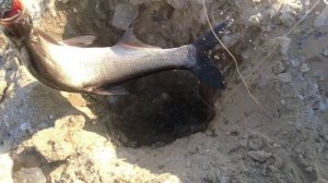 Проверка зимних снастей на верхогляда 17.01.20223