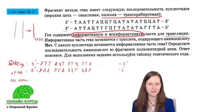 Все типы задач № 27 и № 3 на синтез белка смотреть онлайн