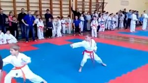 Карате Киокушинкай 2018 год соревнования по ката