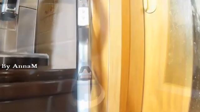 BISSELL Vac & Steam Titanium