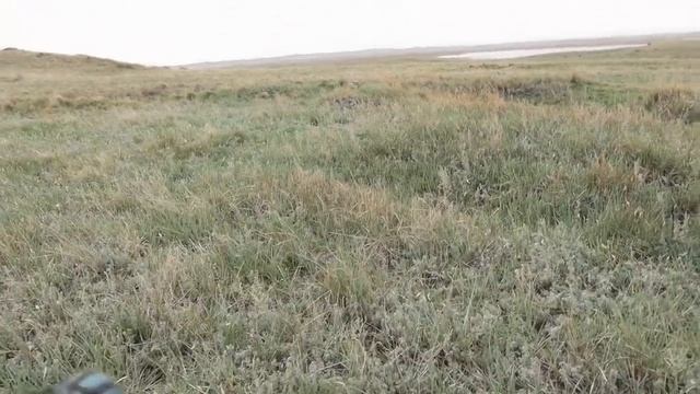 Коп в Прииртышье. Найдены старинные китайские монеты. смотреть онлайн