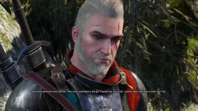 The Witcher 3 - Skyrim Dialogue Easter Egg смотреть онлайн