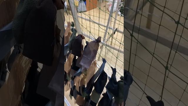 Плетение галстуками масксетей смотреть онлайн