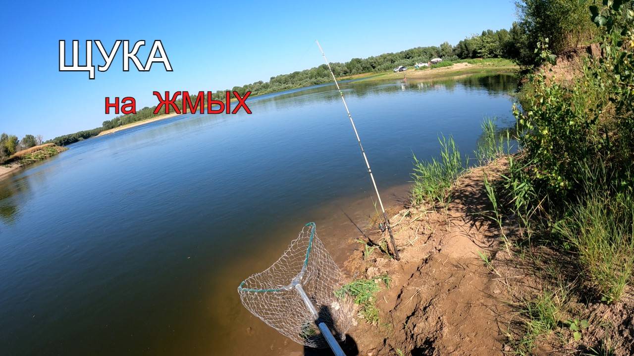 Поймал щуку на жмыховку смотреть онлайн