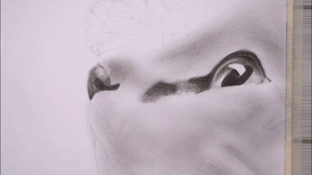 HOW TO USE CHARCOAL PENCIL TAMIL / how to draw a cat with charcoal / drawing tips in tamil / தமிழ் смотреть онлайн