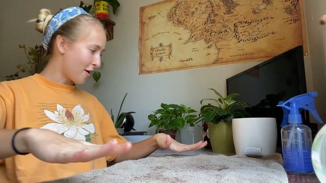 Repotting And Rambles: Philodendron Birkin And Golden Pothos 🪴