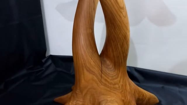 Корень каштана в разрезе, просто огонь! смотреть онлайн