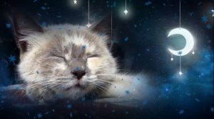 Колыбельная для Кошки и Котенка (Со звуками мурчания) - Музыка для кошек