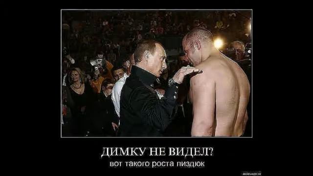 Прикольные фото. Это надо видеть! смотреть онлайн