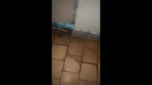 После пожара хоть потоп! смотреть онлайн