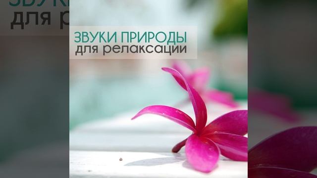 Глубокий сон