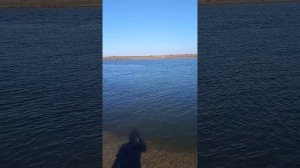 Астраханская обл., с. Оранжереи, октябрь 2023